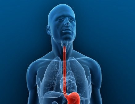 سرطان المريء | علاج سرطان المريء | علاج سرطان المريء في تركيا