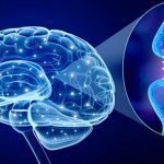 Treatment of Parkinson’s Disease in Turkey