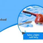 خطوات عملية زراعة الكبد
