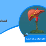 الحياة بعد زراعة الكبد
