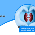 الحياة بعد زراعة الكلى أهم الأسئلة والأجوبة